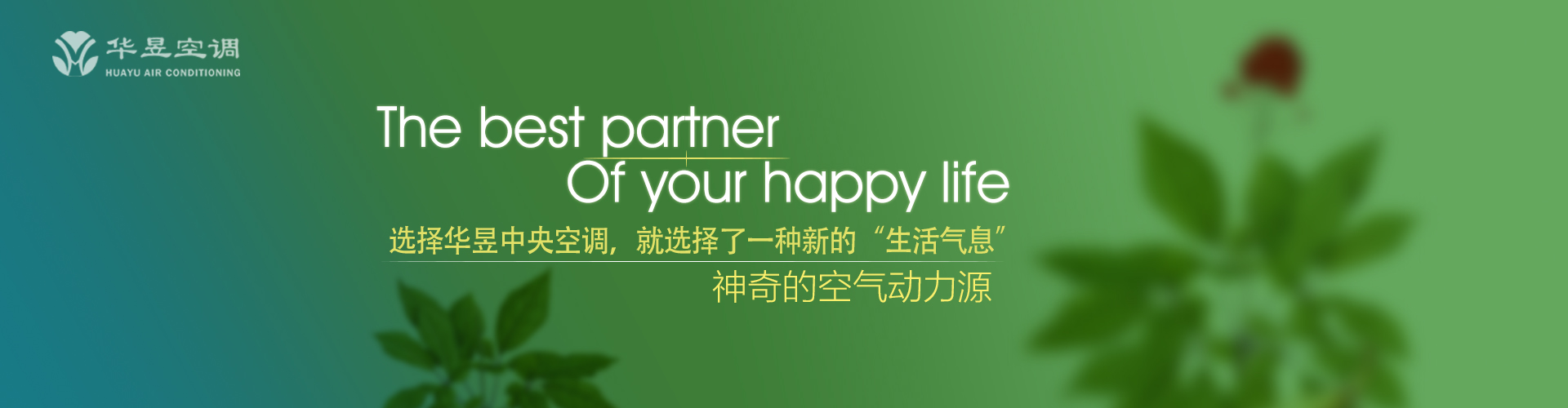 一波三折网